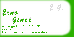 erno gintl business card